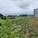 신영4리마을회관 이미지