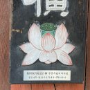 솔바람길 | 청도 운문사 솔바람길 평화로운 스님들의 산책길