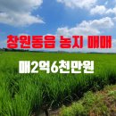 동읍1223 이미지