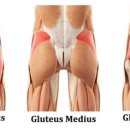 집에서 따라할 수 있는 소도구 필라테스 이미지