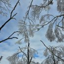 눈꽃횟집 이미지