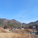 금산1리 이미지