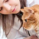 못말리는 고양이 이미지