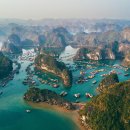 LOVELY DAY'S GROOMING 이미지