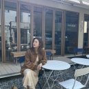 오리개2교 | 여배우 강소라도 들렸다간 벚꽃맛집 양재천 와인바는? (feat.더바냐)