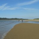 사구해수욕장1 이미지