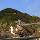 섬목 관음도 이미지