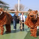 북방면체육공원 이미지