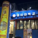 황금돼지무한리필 | 합정고깃집 추천, 가성비 끝판왕 돼지대학교 무한리필 방문후기