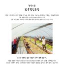 홍동농장 Daum카페