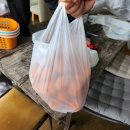 성산 농장 이미지