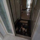 명품하우스 이미지