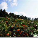 상예동-4 이미지