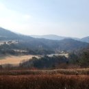 소피아그린 이미지