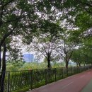 정릉천 제방 이미지