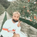 태경영농조합법인