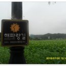 기성망양 이미지