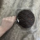 CU(진해연세병원점) | 🍵CU ‘연세우유 말차초코크림빵’ 솔직후기🍫