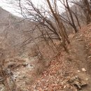 천성산가는길 이미지