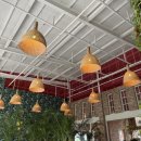 미뇽(mignon) 이미지