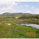 여주-0686 Daum카페