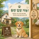아띠랑스비치 | 태안조개체험 숙소 추천｜아뜨랑스비치펜션 내돈내산 솔직후기 (+조개체험 물때 보는 방법 꿀팁 공유)