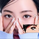 다비치안경 대전유성점 네이버블로그