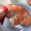 홍성 남당항 대하축제 : 대하는 너무 맛있는거 같애 [대하사랑]