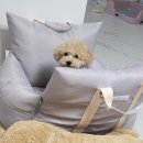 펫웨이브 동물의료센터 | [잠실]펫웨이브 동물의료센터