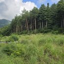 삼척 흥전리 사지 (三陟 興田里 寺址) 이미지