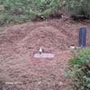 마지2리 이미지