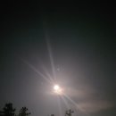 귤빛캠핑장 이미지