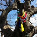 소로(국)1-7-1 이미지