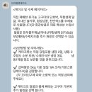 255 | 대전 강아지케이크 주문제작 디자인 가성비 둘 다 잡은 꼬리별펫케이크