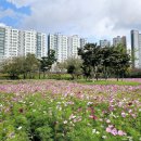 삼문동둔치주차장 이미지