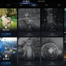 주식회사 블루캡슐 이미지