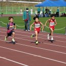 세종태권도체육관 이미지