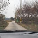 펀지키즈풀빌라4동 이미지