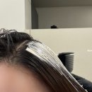 강남구청역 미용실 비오른헤어 청담점 전체염색, 커트 후기