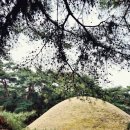 산지관리행정사사무소 이미지