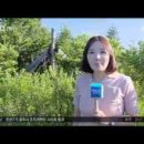 대관령 느린마을 이미지