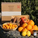 무릉외갓집 | 제주도 영농창업 벤치마킹 3일차 : 기업과 마을이 함께 만든 마을기업, 무릉외갓집(+체험 프로그램 후기)