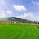 MT골프연습장 이미지