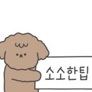 금손가락 이미지