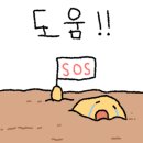 평화와평화