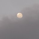 슈베르트의 밤 이미지