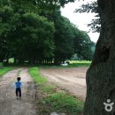 아영면 일대마을 이미지