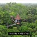 새둥지식당 이미지