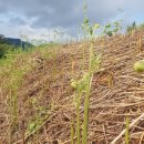 지리산금종영농조합법인 이미지