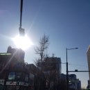 진애드컴 - 중구 세종대로 66-5 | 진애드컴